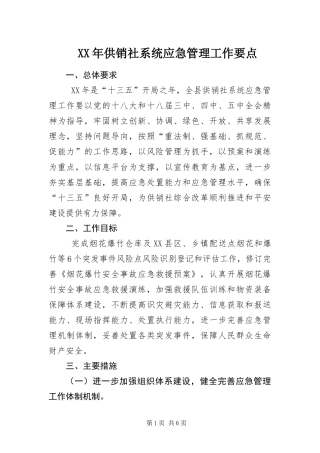 2024年供销社系统应急管理工作要点