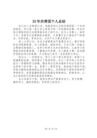 2024年共青团个人总结