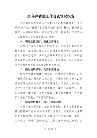 2024年共青团工作自查情况报告