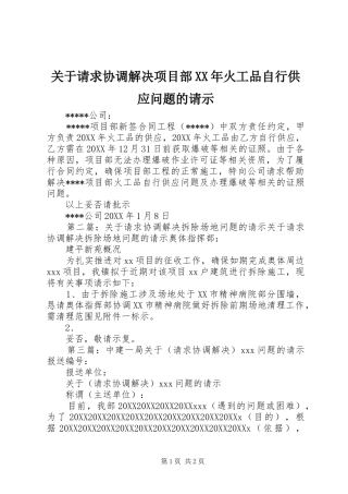 2024年关于请求协调解决项目部火工品自行供应问题的请示
