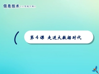 2级信息技术下册 第4课 走进大数据时代课件 南方版-人教级下册信息技术课件