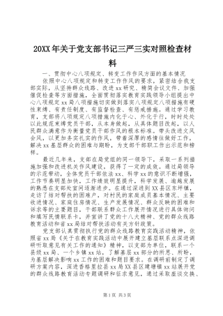 2024年关于党支部书记三严三实对照检查材料