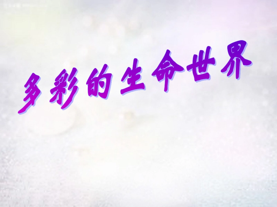 七年级政治上册 1.1 多彩的生命世界课件 鲁教版-鲁教级上册政治课件_第3页