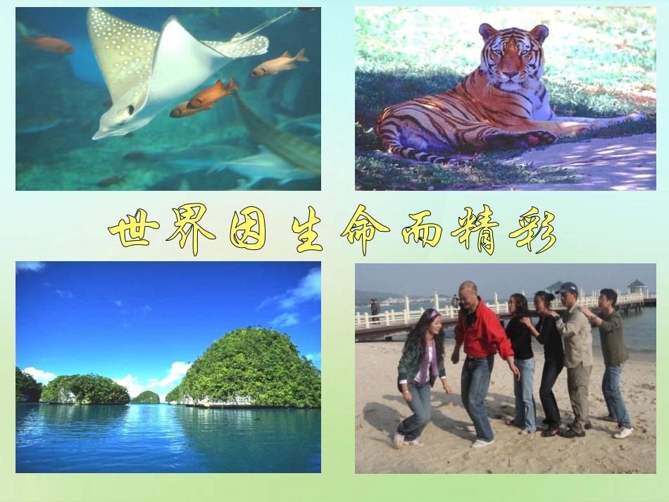 七年级政治上册 1.1.1 生命最宝贵课件 鲁教版-鲁教级上册政治课件_第2页