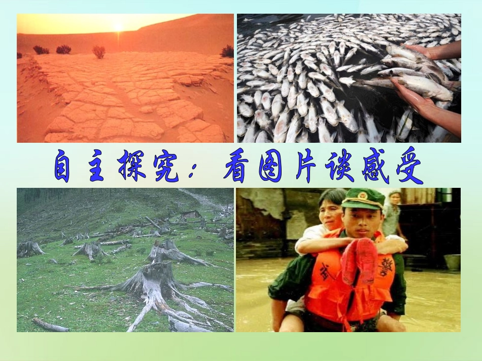 七年级政治上册 1.1.1 生命最宝贵课件 鲁教版-鲁教级上册政治课件_第3页
