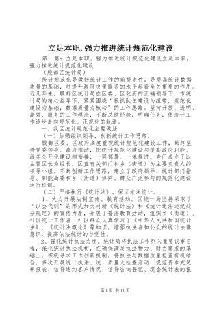 2024年立足本职强力推进统计规范化建设