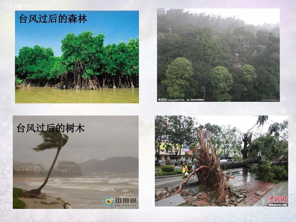 七年级政治上册 1.3 融入新集体课件 粤教版-粤教级上册政治课件_第1页