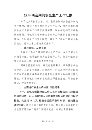 2024年两会期间安全生产工作汇报