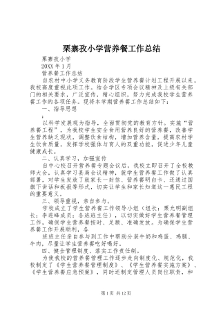 2024年栗寨孜小学营养餐工作总结