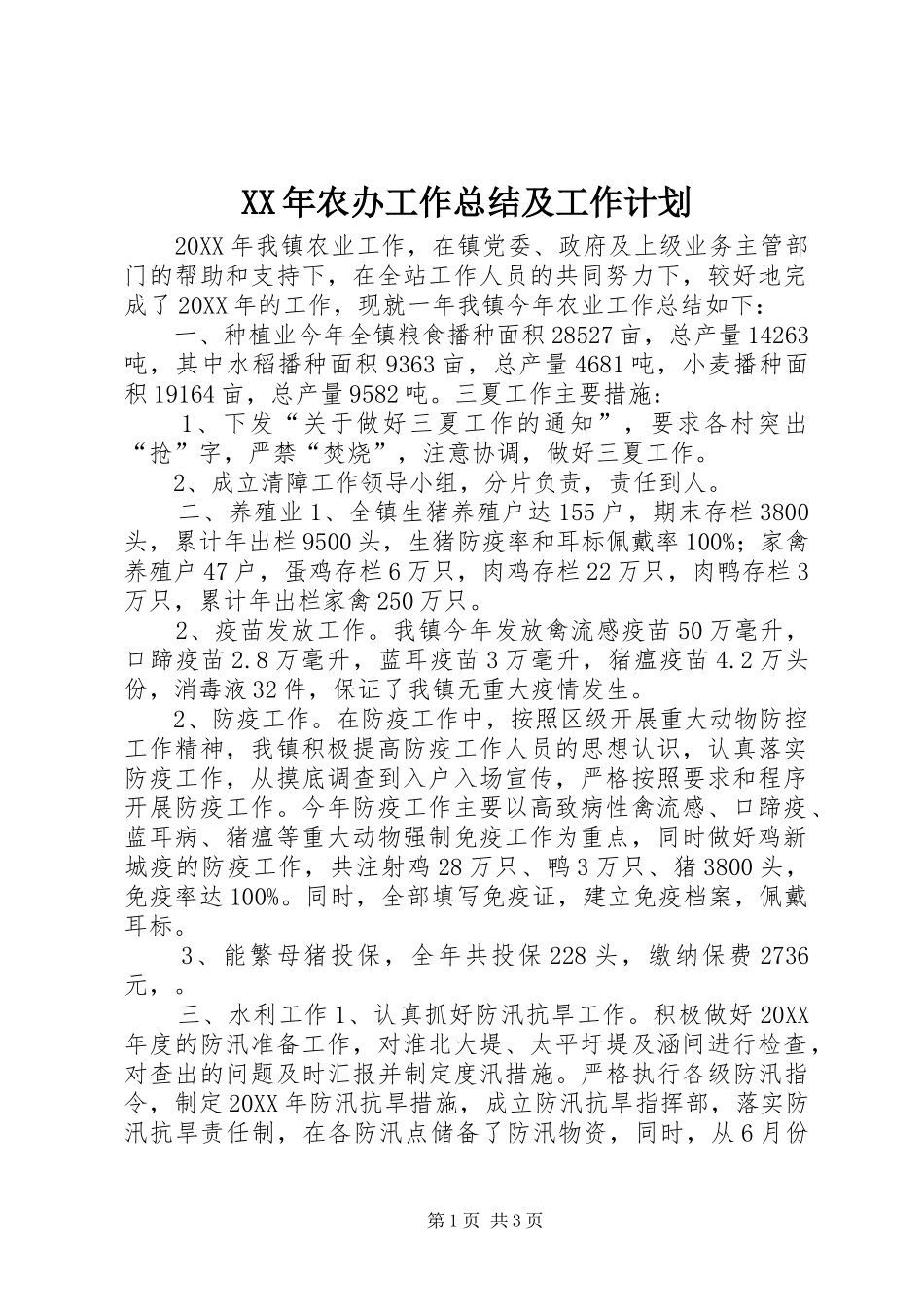 2024年农办工作总结及工作计划_第1页