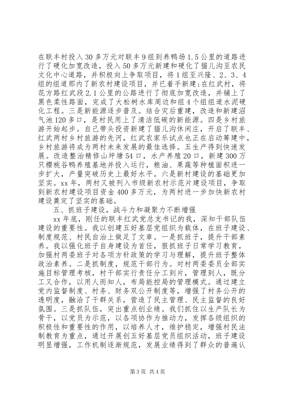 2024年农村党支部书记年终述职报告范文_第3页