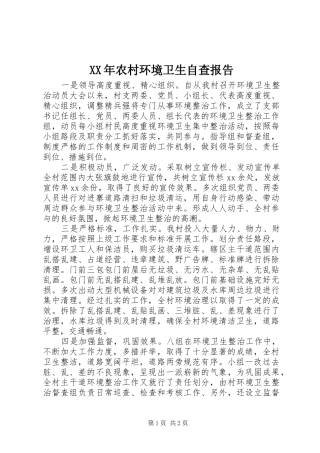 2024年农村环境卫生自查报告