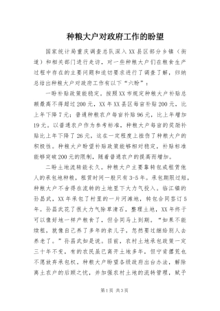 2024年种粮大户对政府工作的盼望