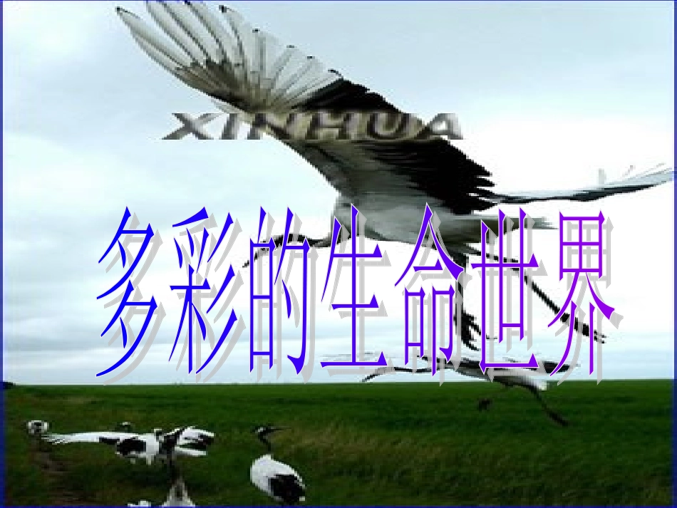 七年级政治上册 第1课 第一框 多彩的生命世界课件 鲁教版-鲁教级上册政治课件_第1页