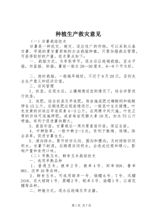 2024年种植生产救灾意见