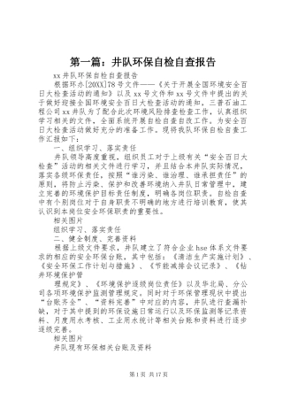 2024年井队环保自检自查报告