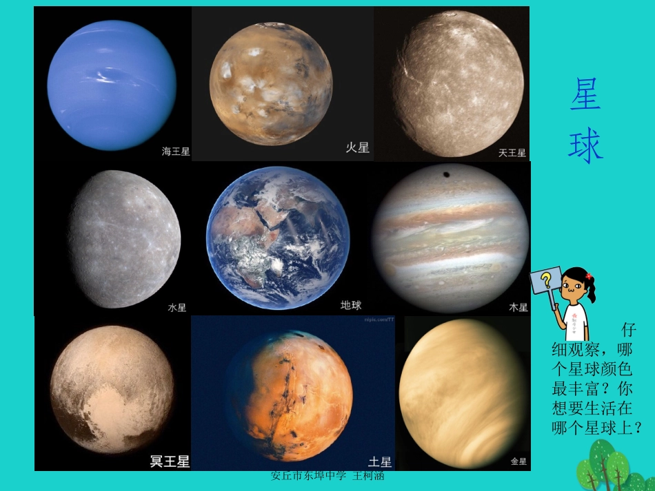 七年级政治上册 第4课《多彩的生命世界》课件 首师大版（道德与法治）-首师大级上册政治课件_第1页