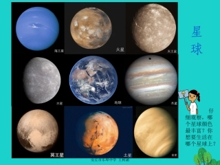 七年级政治上册 第4课《多彩的生命世界》课件 首师大版（道德与法治）-首师大级上册政治课件