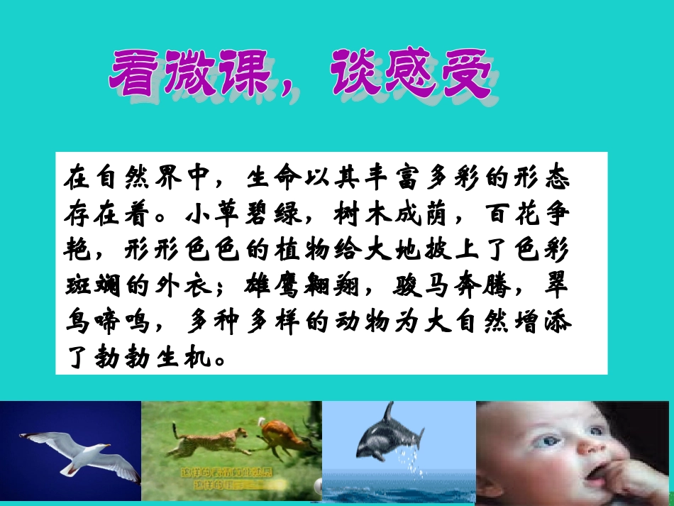 七年级政治上册 第4课《多彩的生命世界》课件3 首师大版（道德与法治）-首师大级上册政治课件_第2页