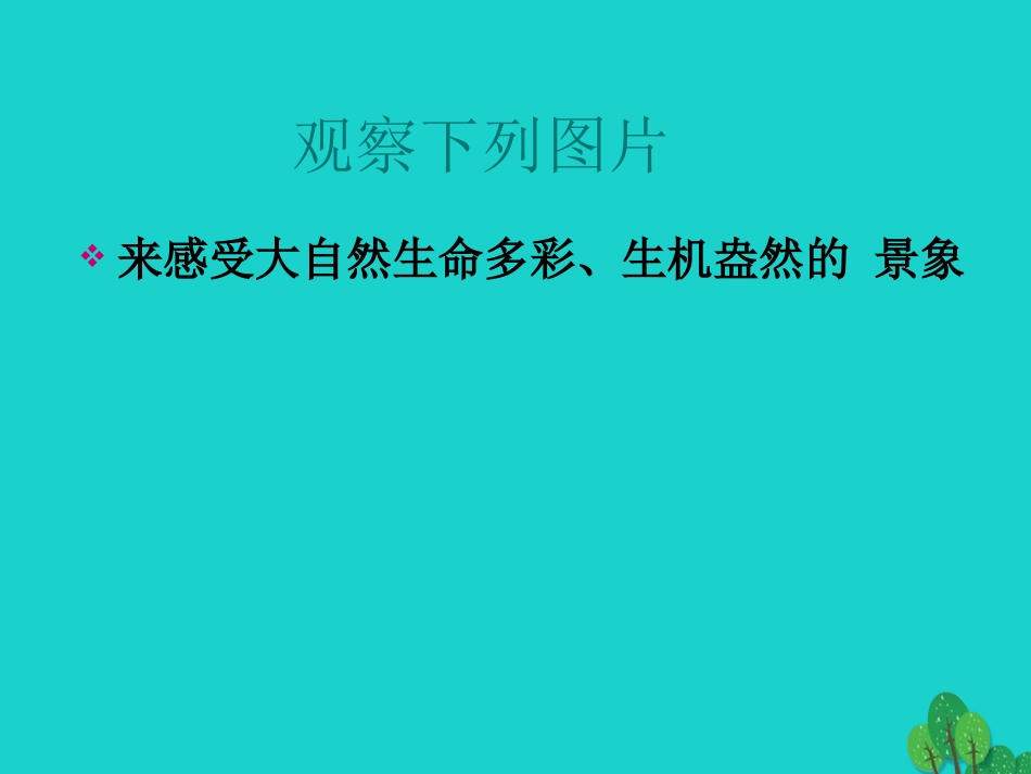 七年级政治上册 第4课《多彩的生命世界》课件4 首师大版（道德与法治）-首师大级上册政治课件_第2页