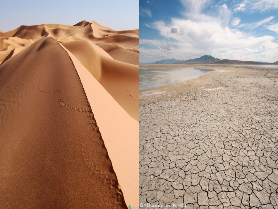 七年级政治上册 第4课《多彩的生命世界》课件4 首师大版（道德与法治）-首师大级上册政治课件_第3页