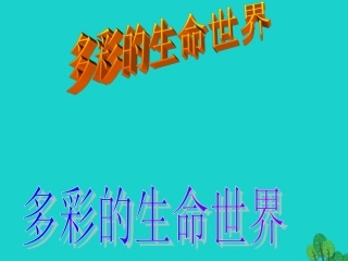 七年级政治上册 第4课《多彩的生命世界》课件6 首师大版（道德与法治）-首师大级上册政治课件