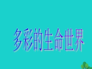 七年级政治上册 第4课《多彩的生命世界》课件7 首师大版（道德与法治）-首师大级上册政治课件