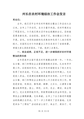 2024年州长在农村环境综治工作会讲话