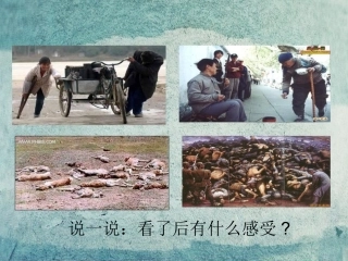 七年级政治上册 第8课 第1框 永存善良之心课件 北师大版-北师大级上册政治课件