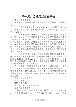 2024年劳动用工自查报告