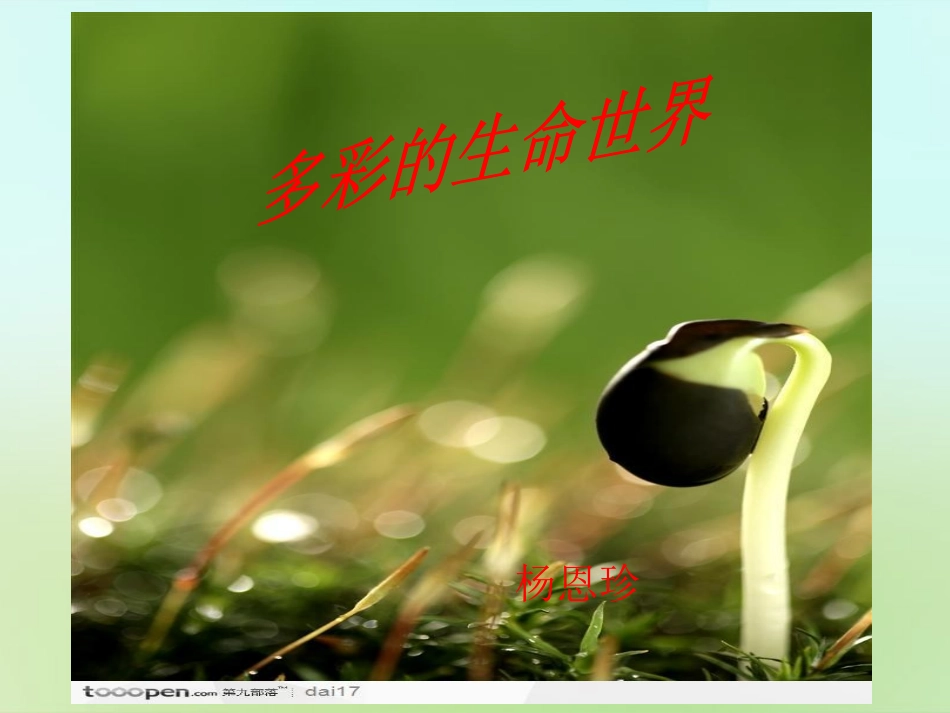 七年级政治上册 第一课 第1框 多彩的生命世界课件 鲁教版-鲁教级上册政治课件_第1页