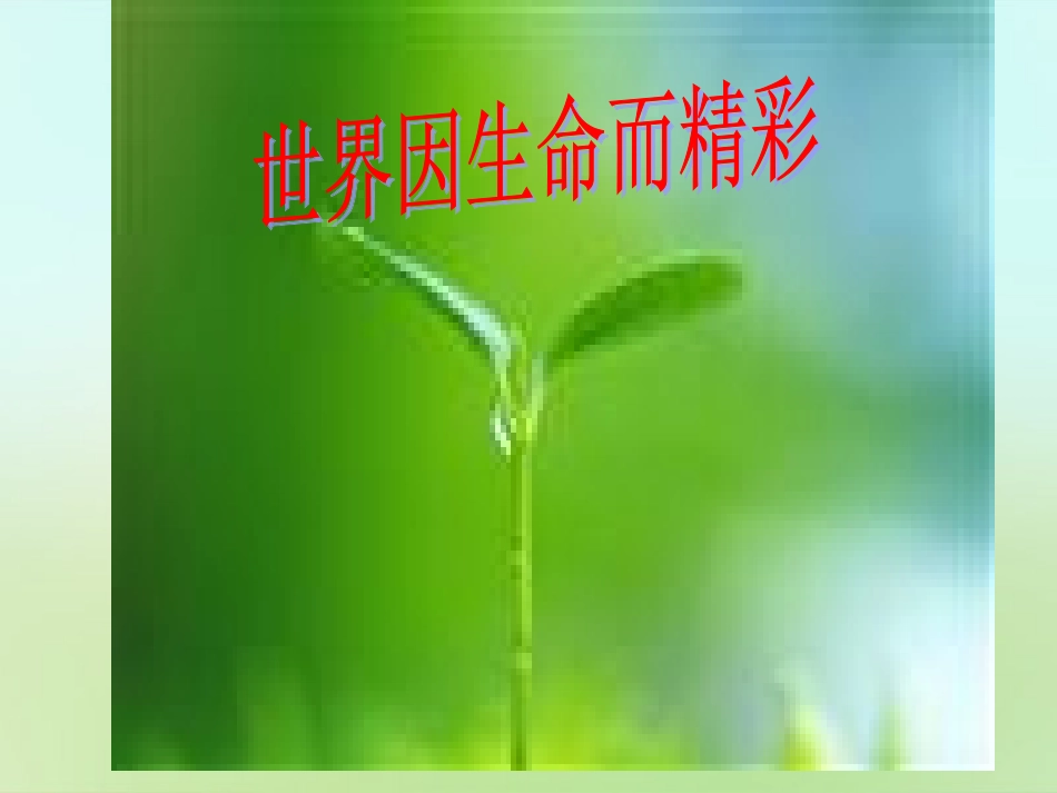 七年级政治上册 第一课 第1框 多彩的生命世界课件 鲁教版-鲁教级上册政治课件_第3页