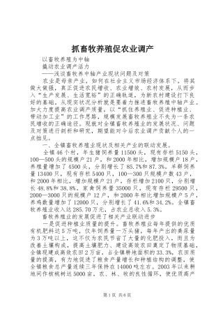 2024年抓畜牧养殖促农业调产