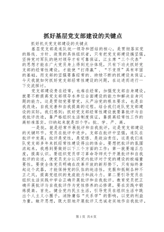 2024年抓好基层党支部建设的关键点