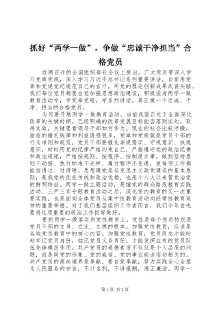 2024年抓好两学一做，争做忠诚干净担当合格党员