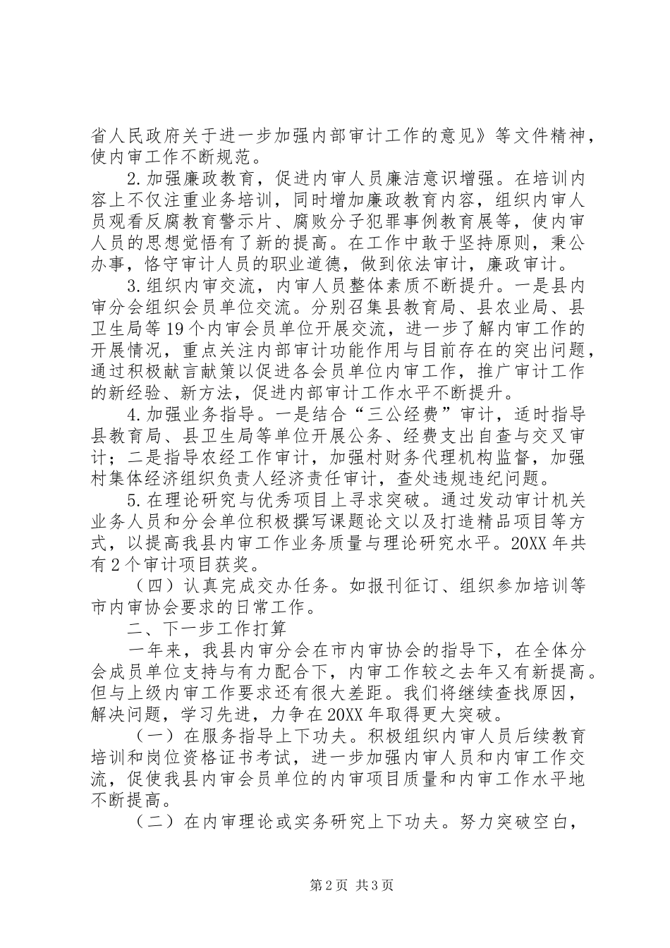 2024年内部审计协会工作总结_第2页