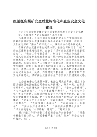 2024年抓紧抓实煤矿安全质量标准化和企业安全文化建设
