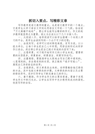 2024年抓切入要点，写精彩文章