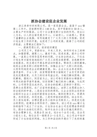 2024年抓协会建设促企业发展
