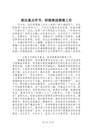 2024年抓住重点环节，积极推进禁毒工作