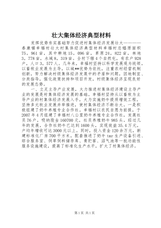 2024年壮大集体经济典型材料