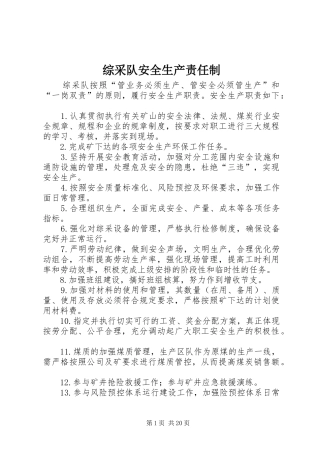 2024年综采队安全生产责任制