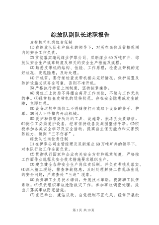 2024年综放队副队长述职报告