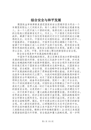 2024年综合安全与和平发展