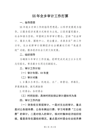 2024年全乡审计工作打算