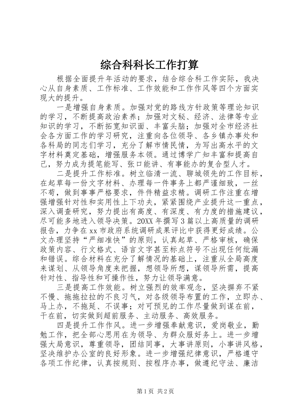 2024年综合科科长工作打算_第1页
