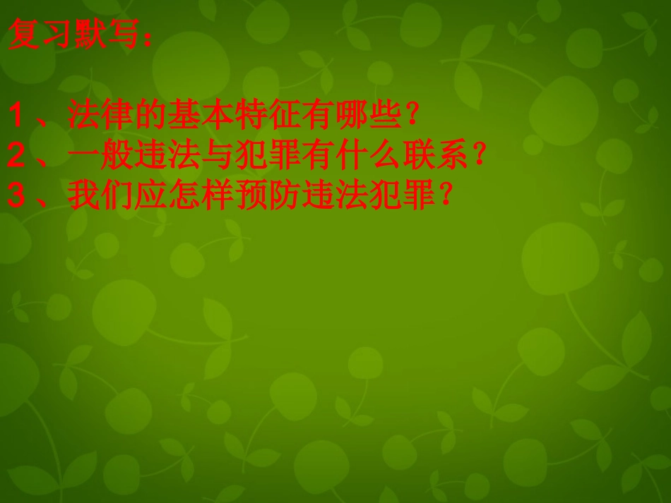 七年级政治下册 第七单元 第16课 第1框 我们受法律的特殊保护课件 鲁教版-鲁教级下册政治课件_第2页