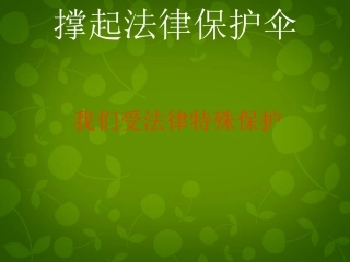七年级政治下册 第七单元 第16课 第1框 我们受法律的特殊保护课件 鲁教版-鲁教级下册政治课件