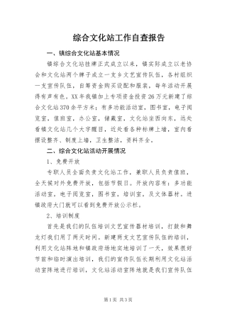 2024年综合文化站工作自查报告