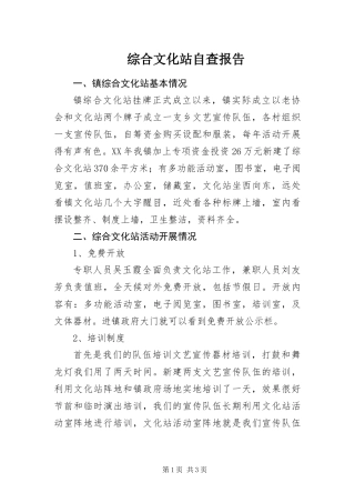 2024年综合文化站自查报告
